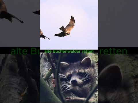 noch 16 Tage bis zur BTW25