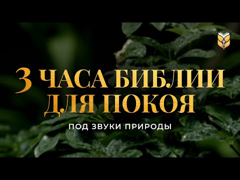 3 часа Библии для покоя под звуки природы. Современный перевод Библии #biblevision
