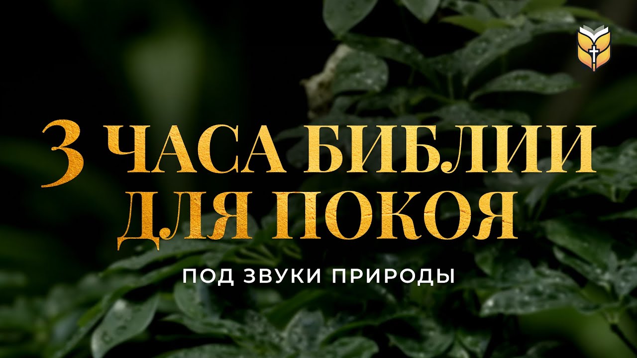 3 часа Библии для спокойствия под звуки природы 🌿