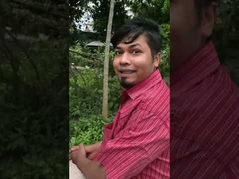 মুড়ি খাও || Anwarul Alam Sajal || #shorts