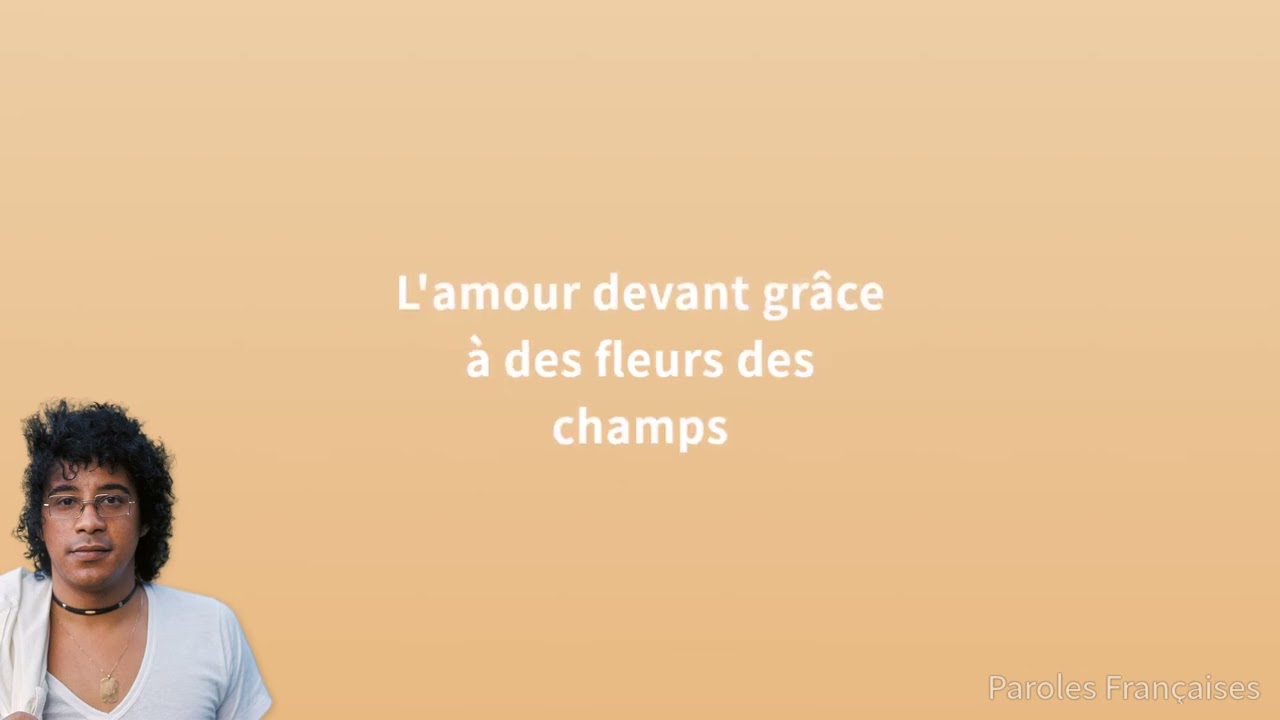 Laurent Voulzy - Le Pouvoir des Fleurs 🌸