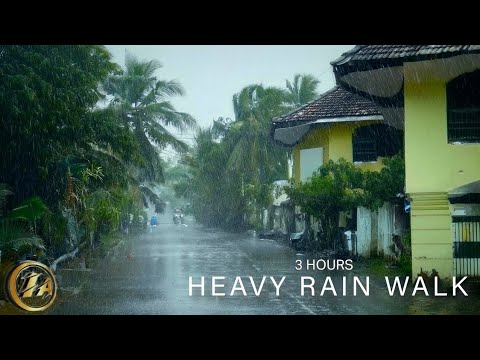 [4K] 3 Hours of Heavy Rain Walks from Kerala | Monsoon Rain | ASMR Rain Sounds for Sleep. No Talking