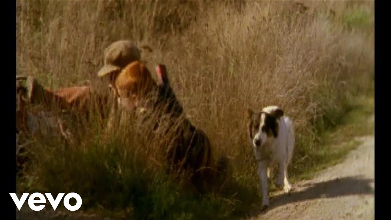 Buty - Frantisek (Music Video, 1995) 🎶