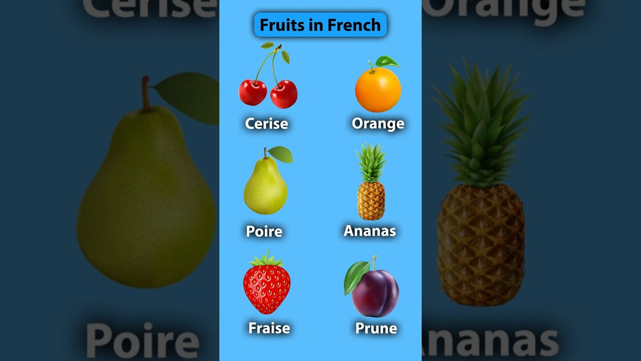 French Language Lessons For Beginners | French Tutor Online