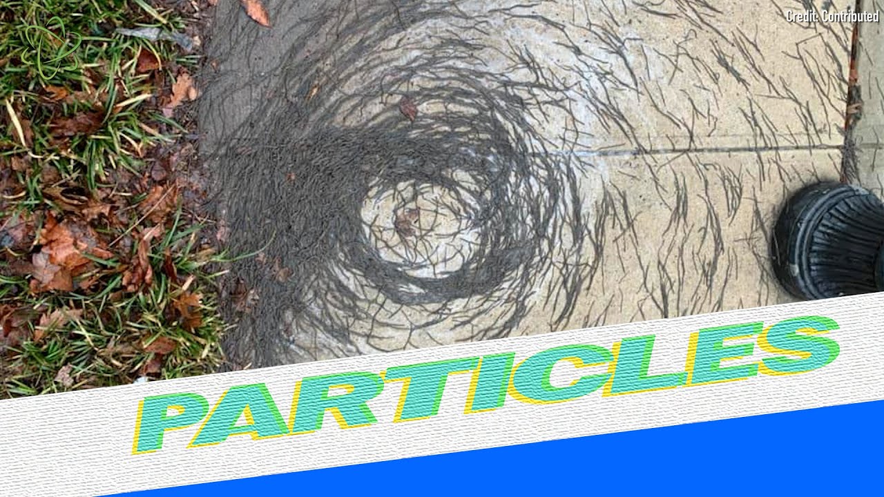 Wormnado Spotted in Hoboken 🌪️