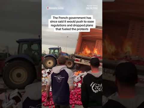 Farmers in France protest over working conditions, taxes and regulation