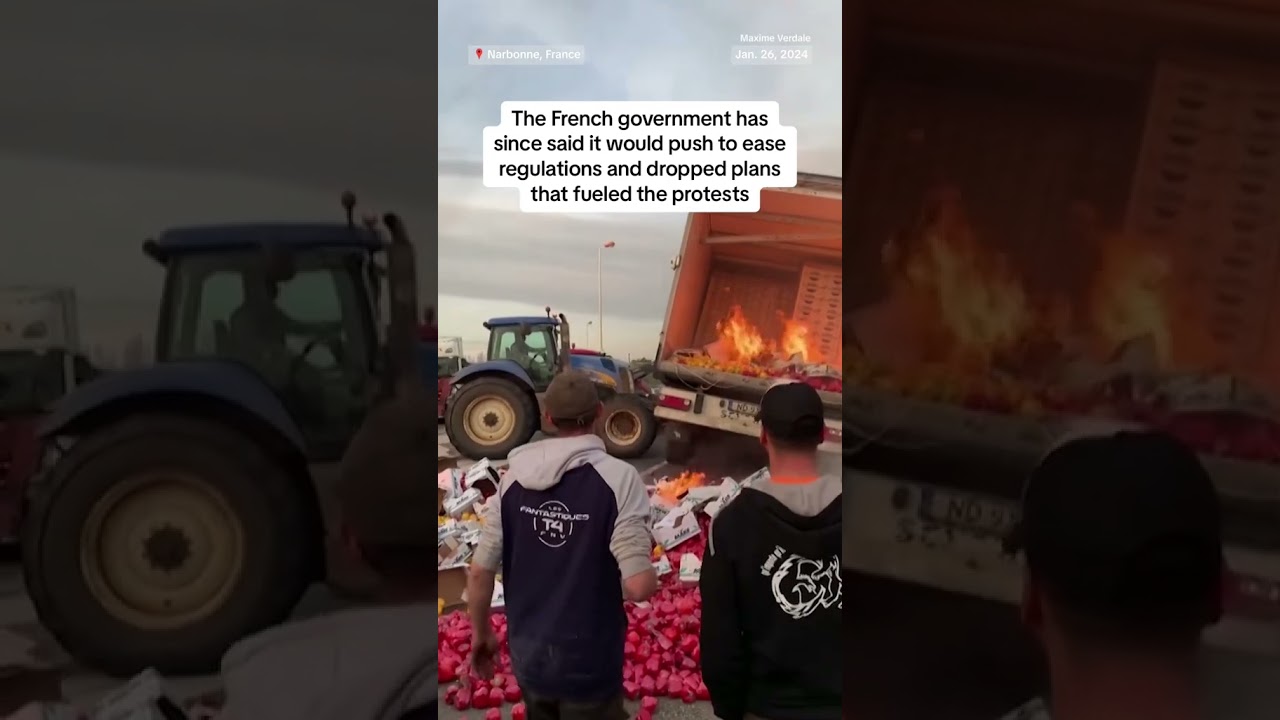 French Farmers Protest for Better Conditions and Support 🚜