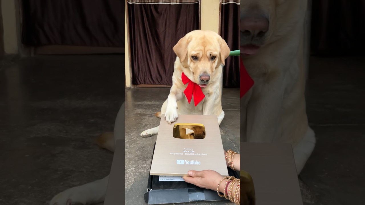 1 Celebrating 1 Million with Rubi 🐾