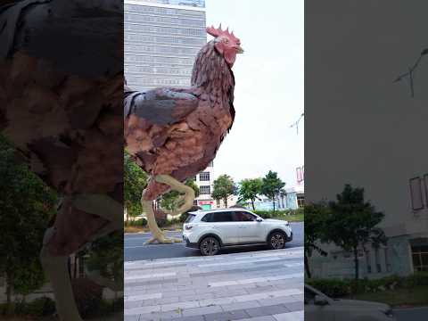 wow!! such a BIG chicken 🐔🐓 #shorts #short