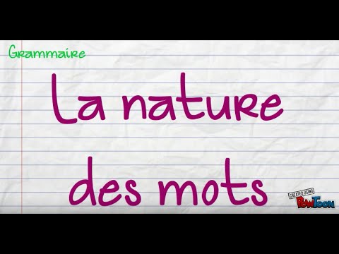 Comprendre la nature des mots 🌿