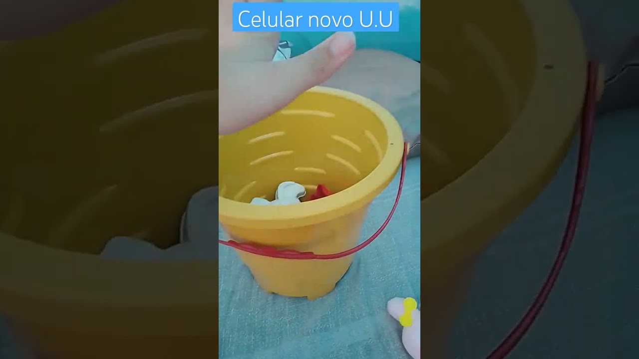 Gabi Ox and Friends 🌟