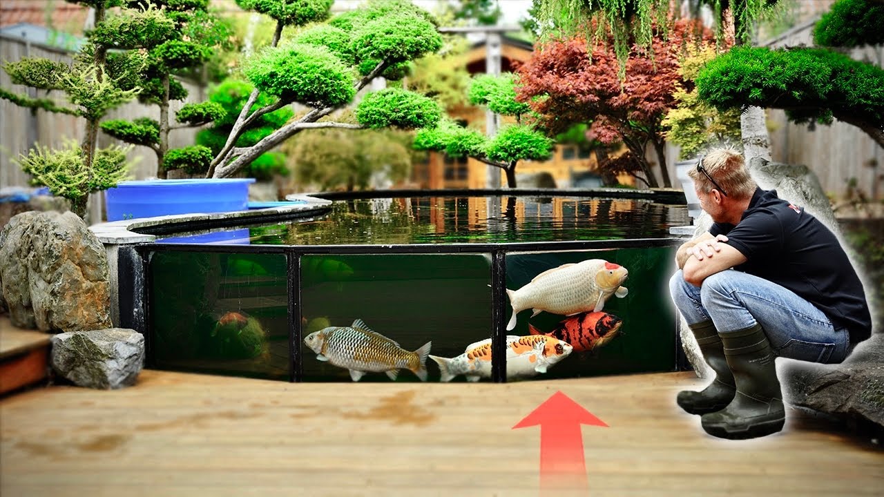 AMAZING 17,000 GALLONS KOI POND!! **JUMBO KOI**
