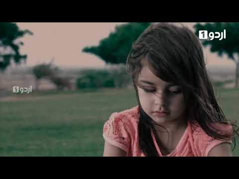 Ek Thi Marium-Survey