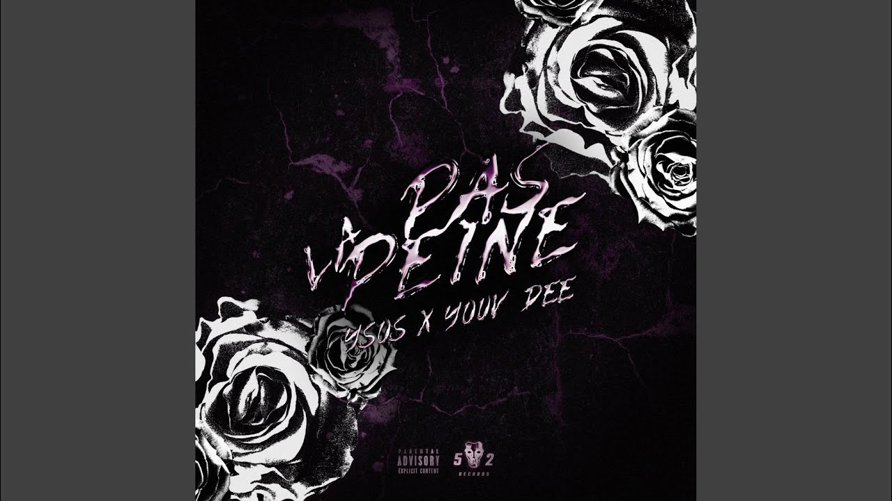 Pas la peine (feat. Youv Dee) by Ysos 🎶