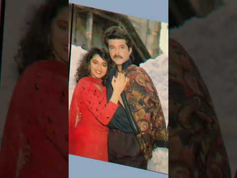 Anil Kapoor with sridevi | roop ki rani choron ka raja song #shortsfeed #shorts #trending #ytshorts