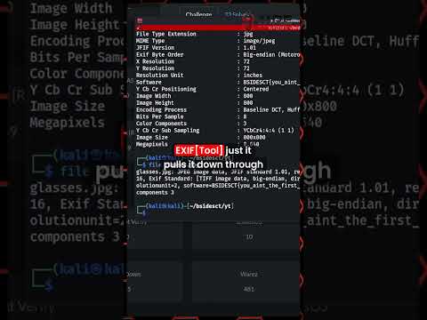 Extracting Hidden Data In JPEG Files Using ExifTool!