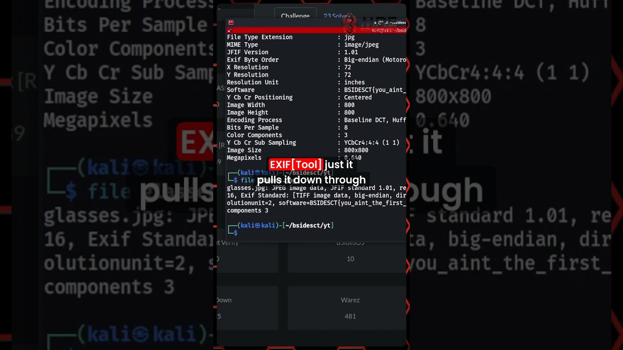 Extracting Hidden Data from JPEG Files Using ExifTool