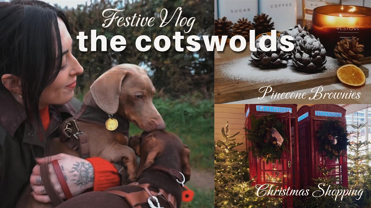 Festive Cotswolds: Christmas Shopping & Country Walks 🎄