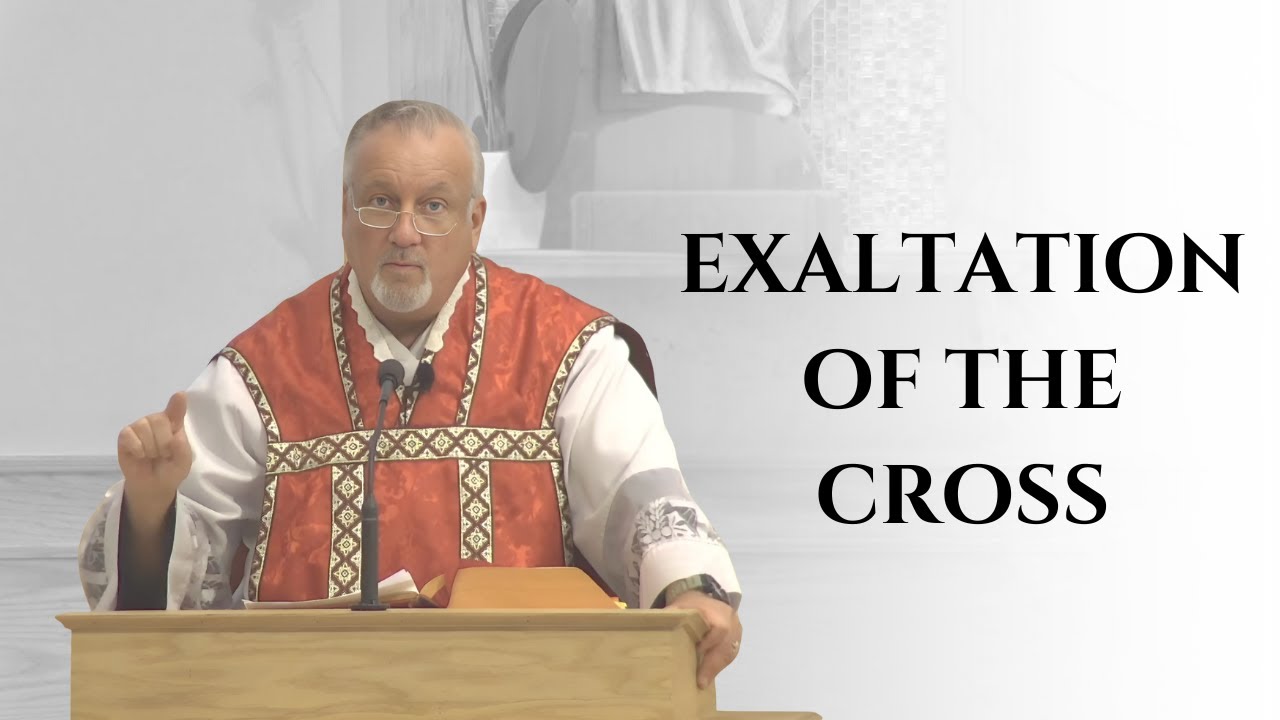 Exaltation of the Cross | Fr. Dan Reehil Homily ✝️