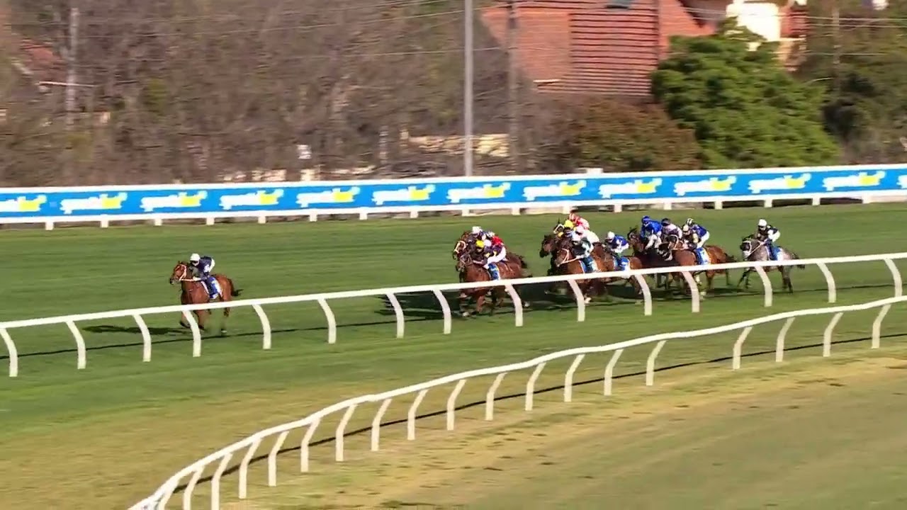 Half Your Winnings on the Caulfield Cup 2025 🏆 – Key Details & Dividends