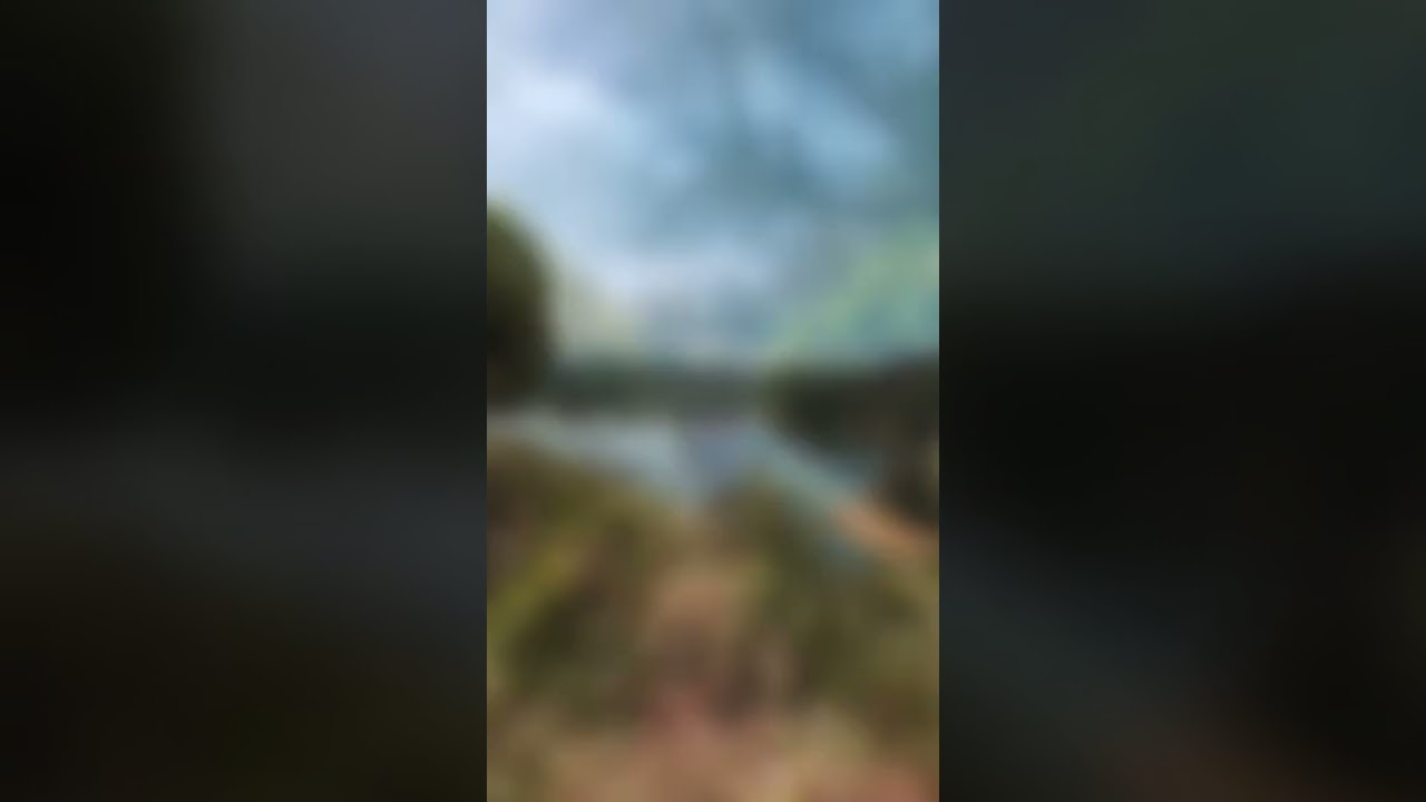 Explore Kerala's Forests with GAVI 🌿