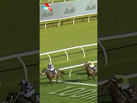 Is this the new Melbourne Cup hopeful? 👇