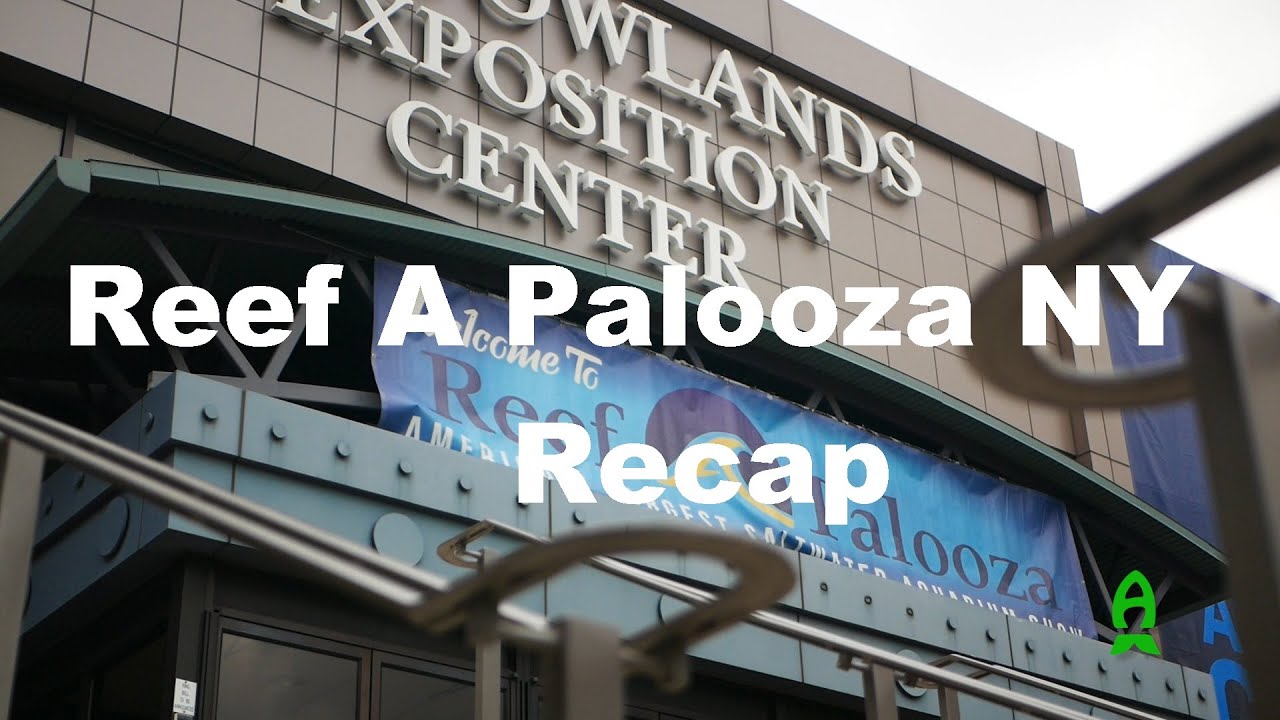 Reef A Palooza NY Recap 🌊