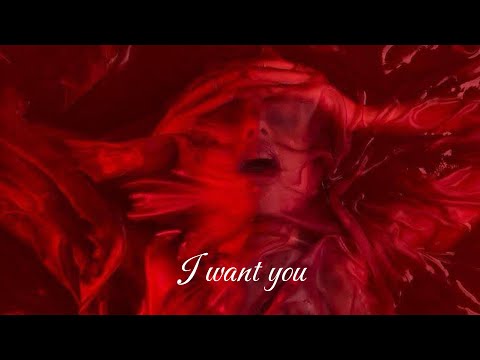 1LoveVibe