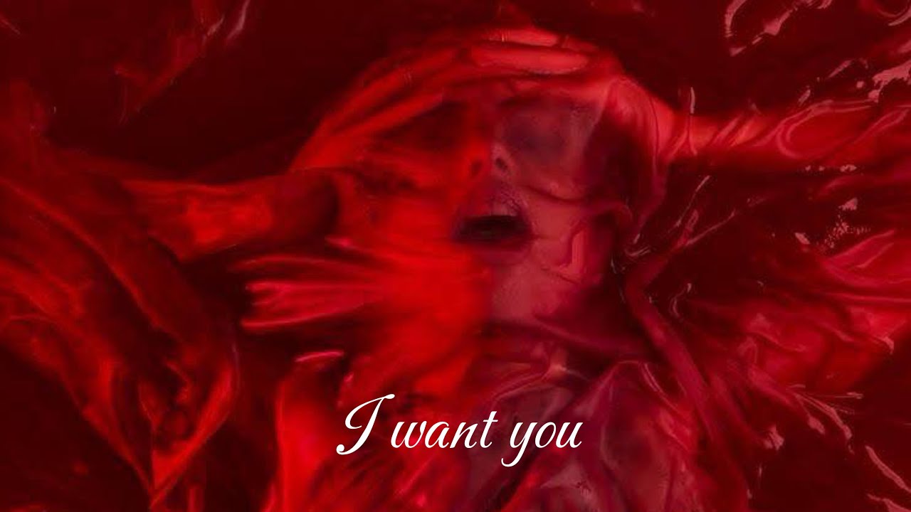 Only Us Tonight ❤️ Soft Romantic Music Ultra 4K ( 2026 )