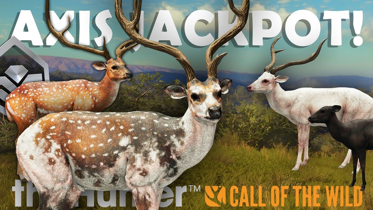 DIAMOND & SIX RARES on CRAZY AXIS HUNT in PARQUE!!! - Call of the Wild