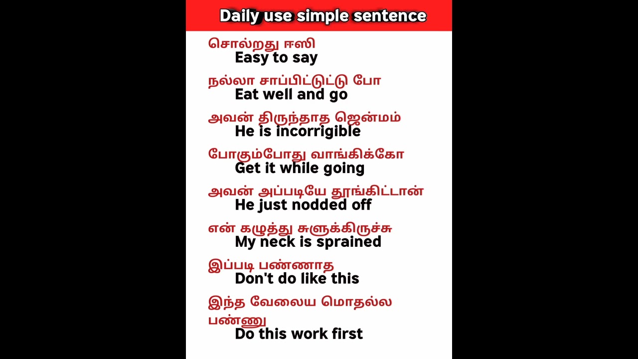 50 Daily English Words & Sentences for Beginners 📚