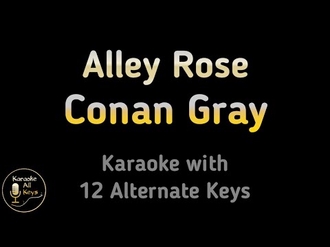 Conan Gray - Alley Rose Karaoke Instrumental Lower Higher Female & Original Key