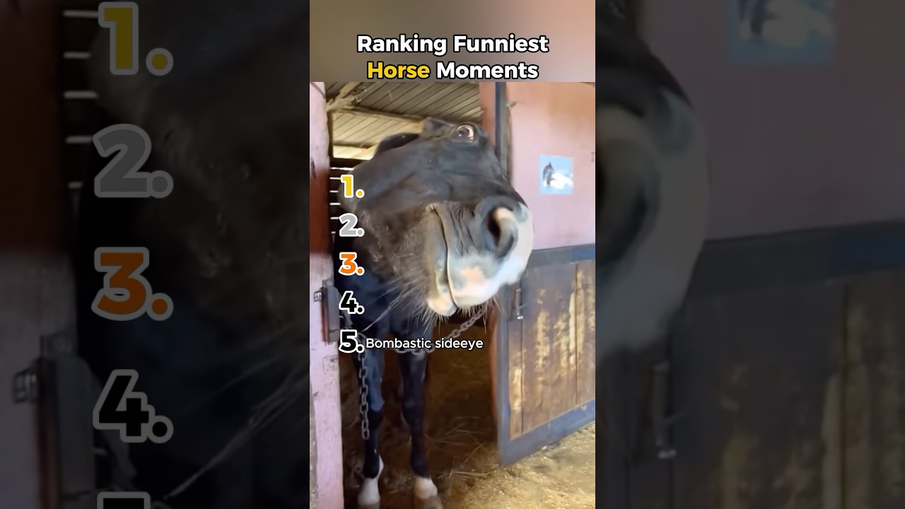 Hilarious Horse Moments π΄π€£