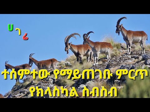 Ethiopian Classical Music Collection 🎼