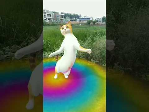 chunni mein Hui chunni mein #dj remixЁЯШЖЁЯШДЁЯШДЁЯШДЁЯТп #love #song #funny #dj song #musical style #cat