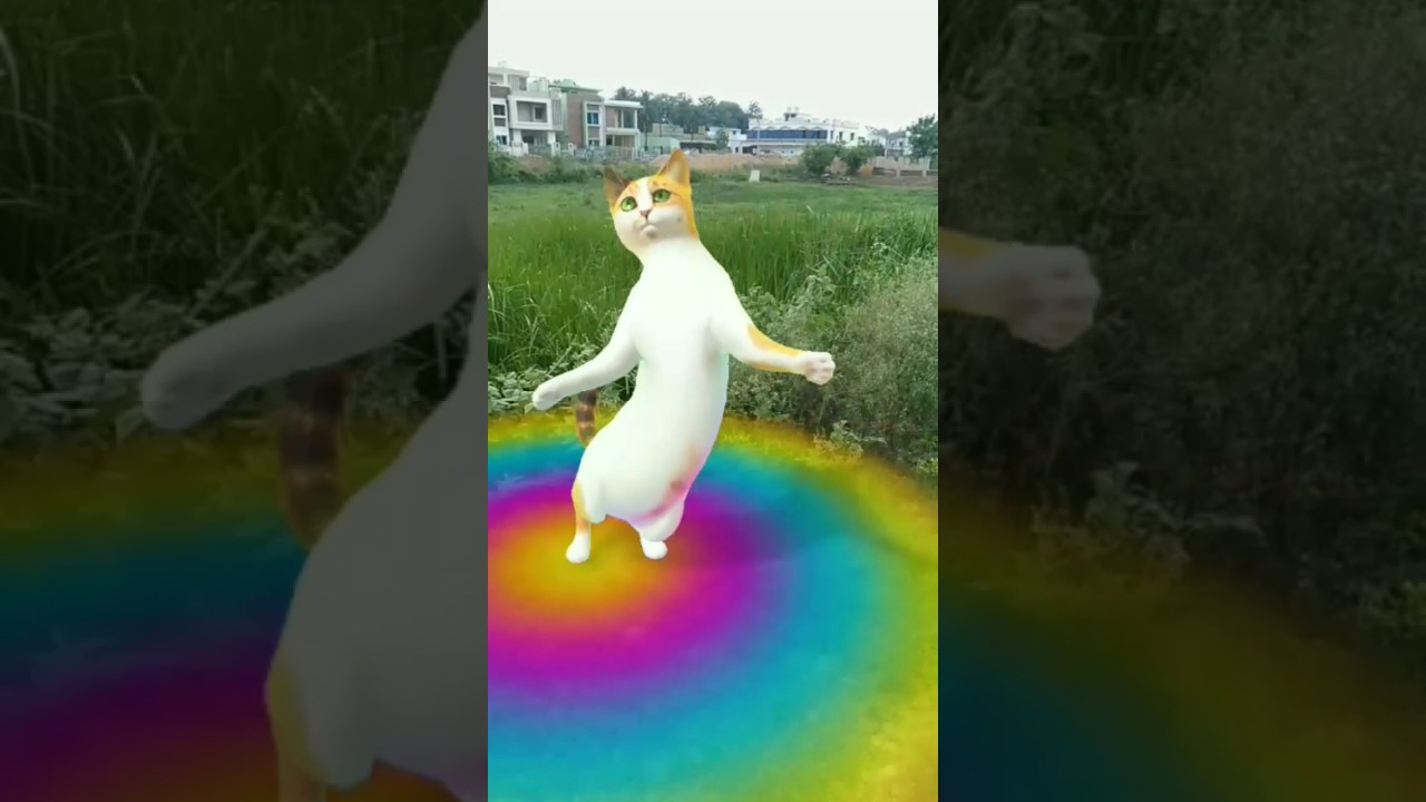 Dance to the Hilarious DJ Remix of Chunni Mein Hui Chunni! 😄