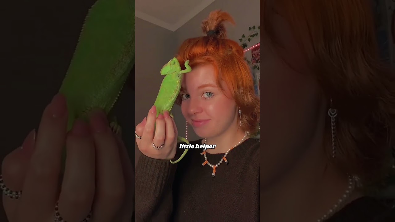 Chameleon That Brushes Hair & Washes Face 🦎
