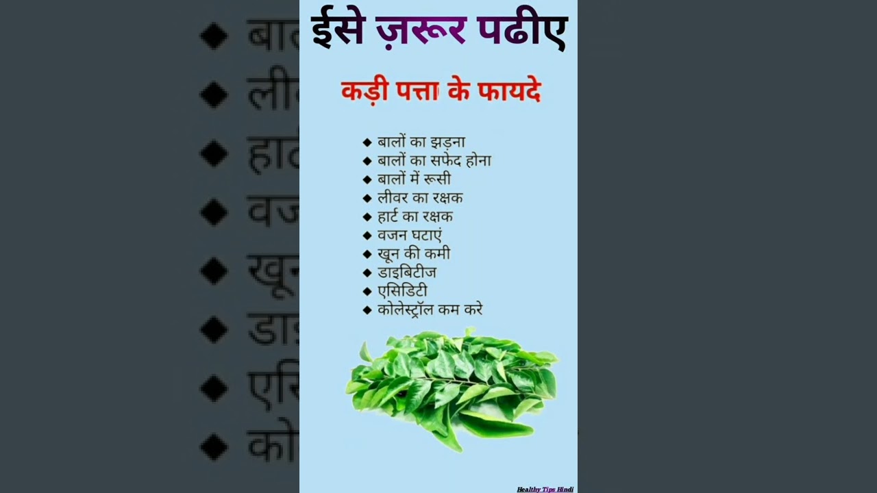 कड़ी पत्ता के अद्भुत फायदे 🪴 | स्वास्थ्य से जुड़ी जरूरी जानकारी