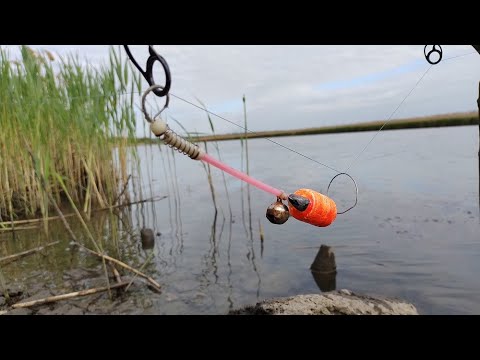 Килограммовая карась и красноперка с табуретки 🎣