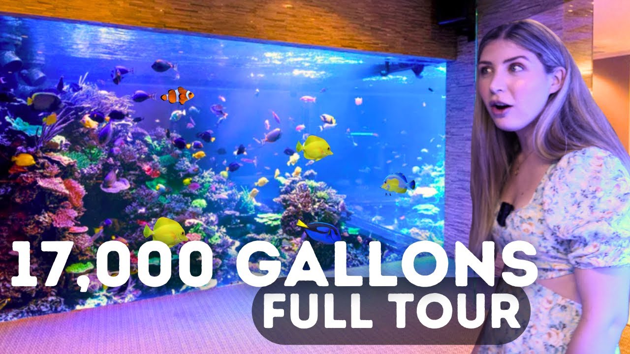 Tour Andrew Sandler's $20M Reef Aquarium 🐠