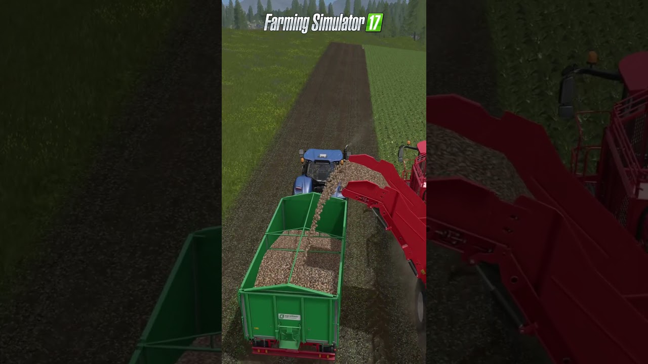 Fs Series Comparison: 15, 17, 19, 22 & 25 ๐