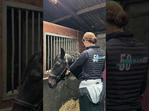 le vrai visage de Khaleesi... #horse #cheval #equestrian #dressage