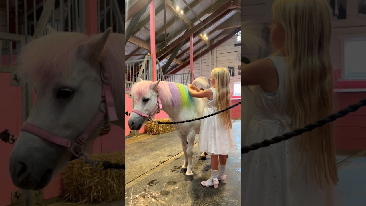 Ella Braid Soria’s Hair for Pony Riding 🐴