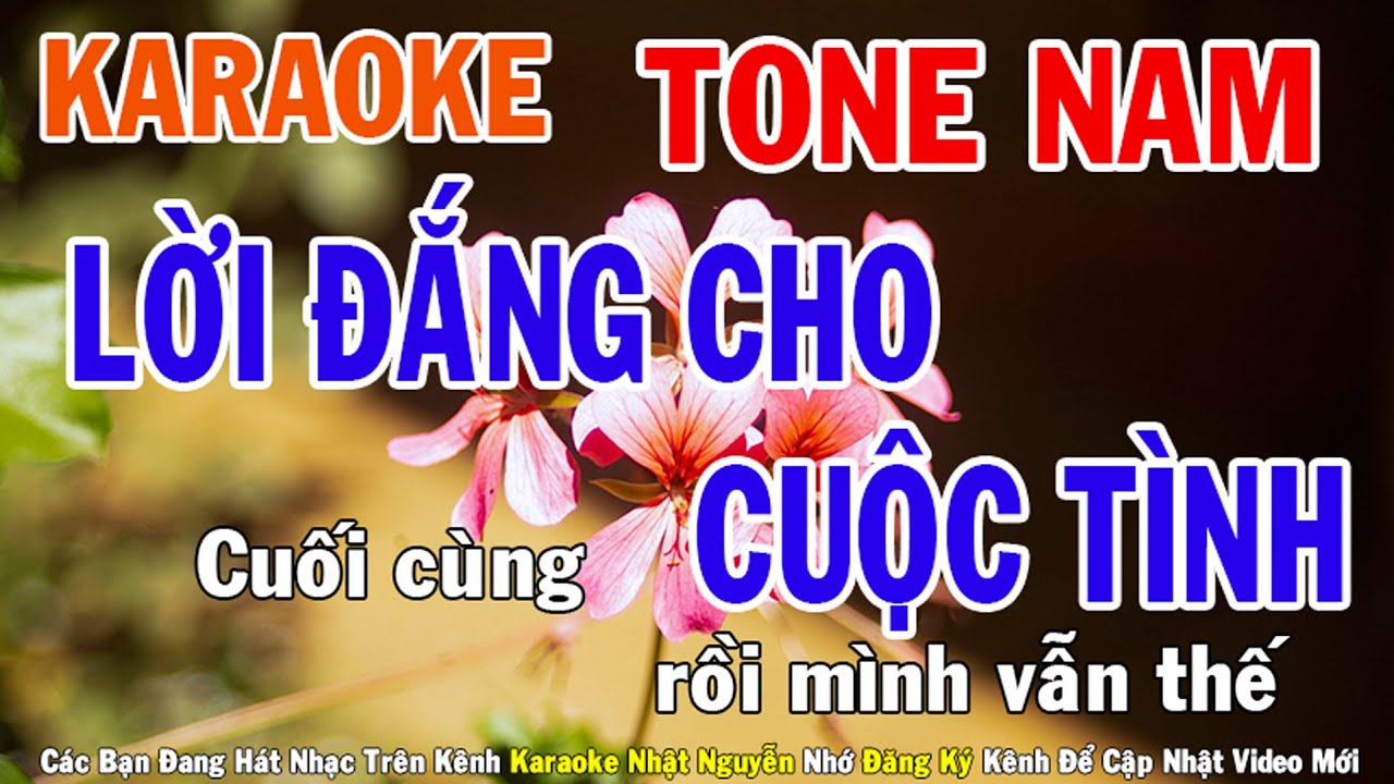 Lời Đắng Cho Cuộc Tình Karaoke Nam Dễ Hát 🎤