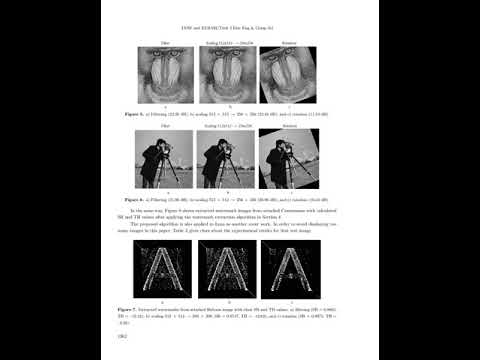Watermarking and Steganography 3