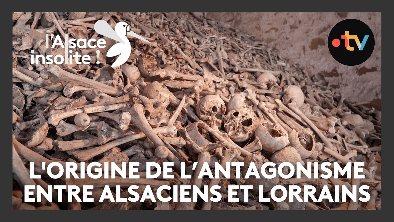 Origine de l'antagonisme Alsaciens-Lorrains 🤝