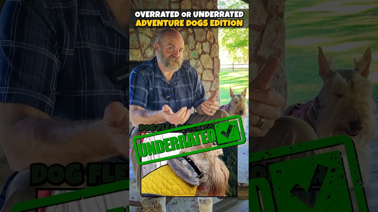 Are Adventure Dog Gear Overrated or Underrated? 🐶