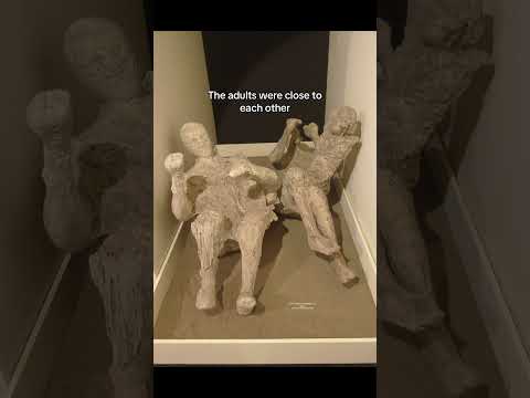 I hope I can visit Pompeii one day #history #archaeology