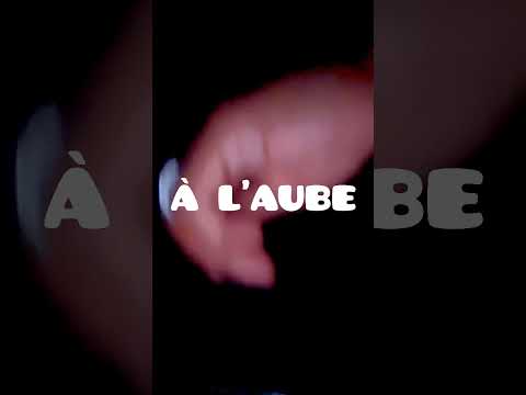 GIMS - À L'AUBE (exclu LDVM 🎼)