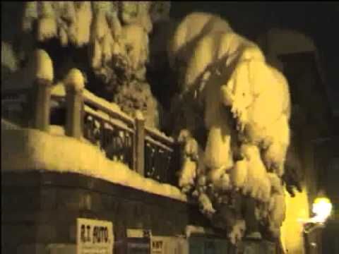 Neve a Cingoli 2005 ❄️